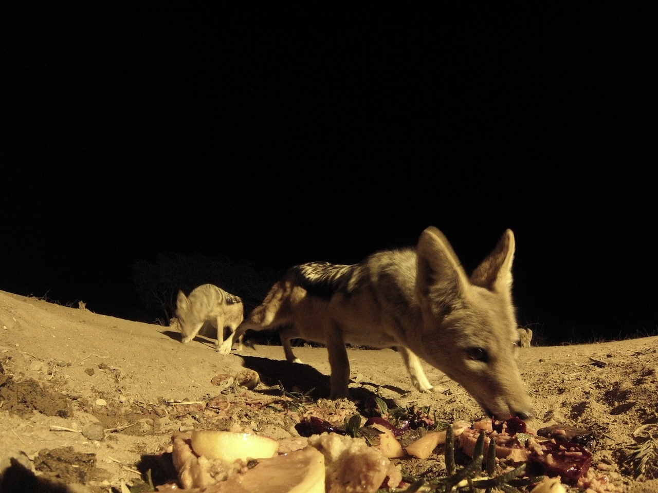 [4086] 2016_06_22_20_51_45_Africa_Hero3-Silver_Edition_IMG__00151.jpg