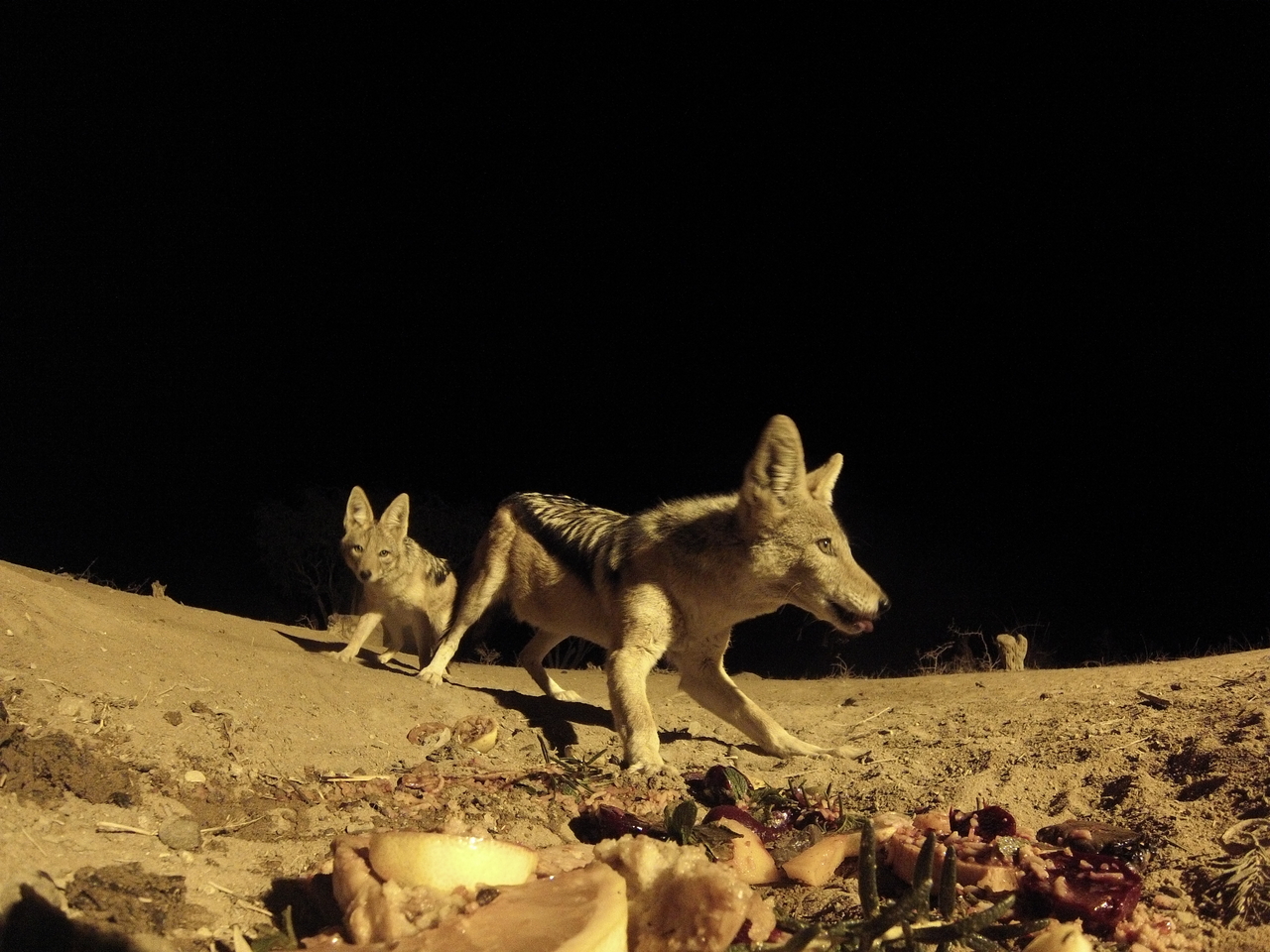 [4088] 2016_06_22_20_51_49_Africa_Hero3-Silver_Edition_IMG__00152.jpg