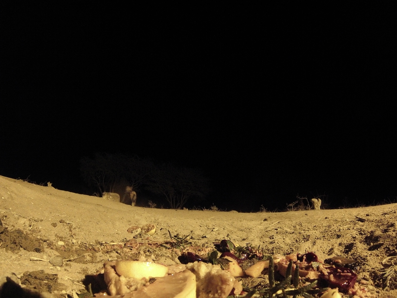 [4094] 2016_06_22_20_51_59_Africa_Hero3-Silver_Edition_IMG__00155.jpg