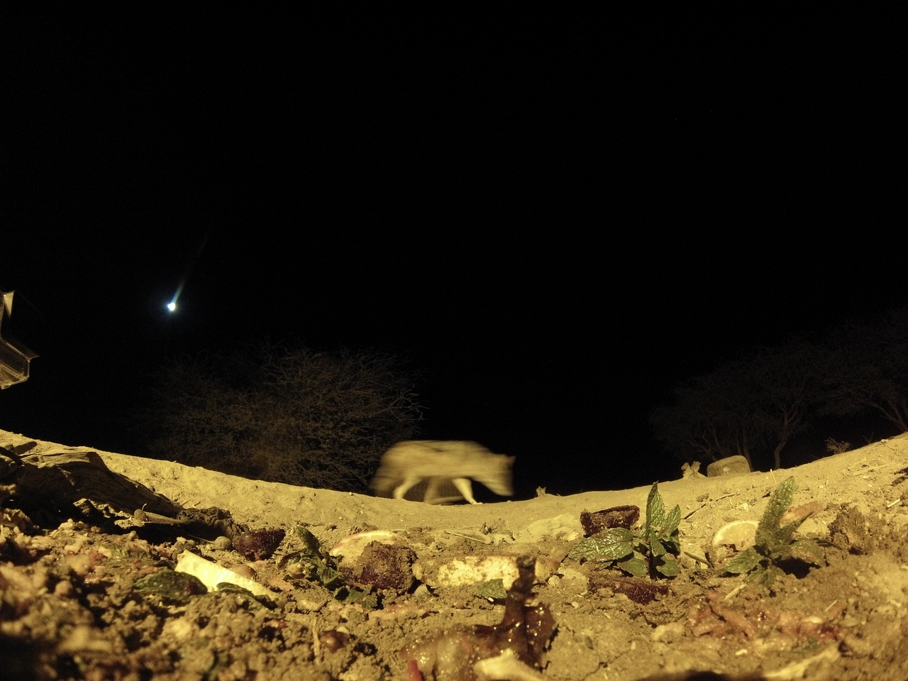 [4291] 2016_06_22_21_26_04_Africa_Hero3-Silver_Edition_IMG__00698.jpg