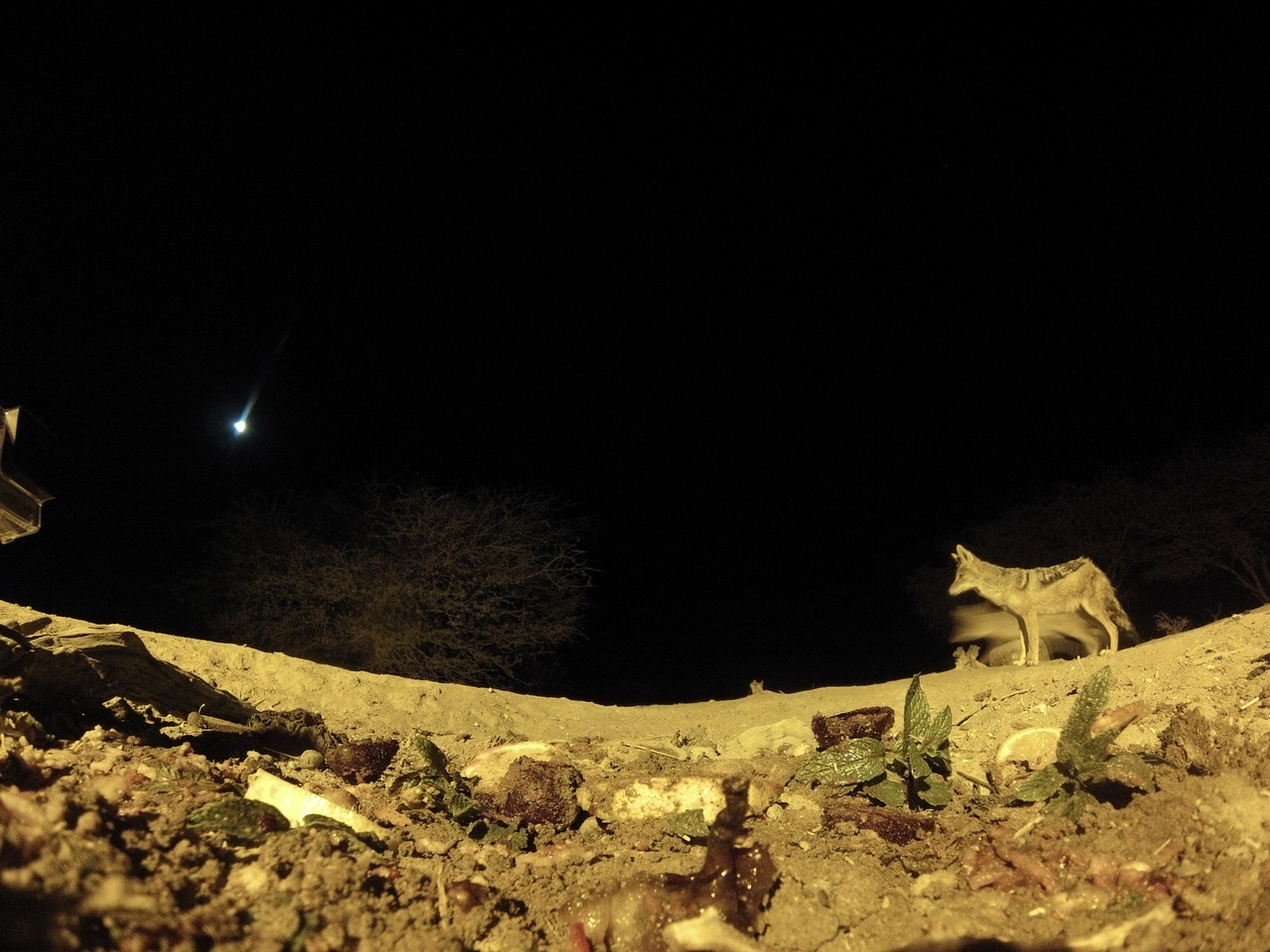 [4324] 2016_06_22_21_27_00_Africa_Hero3-Silver_Edition_IMG__00267.jpg