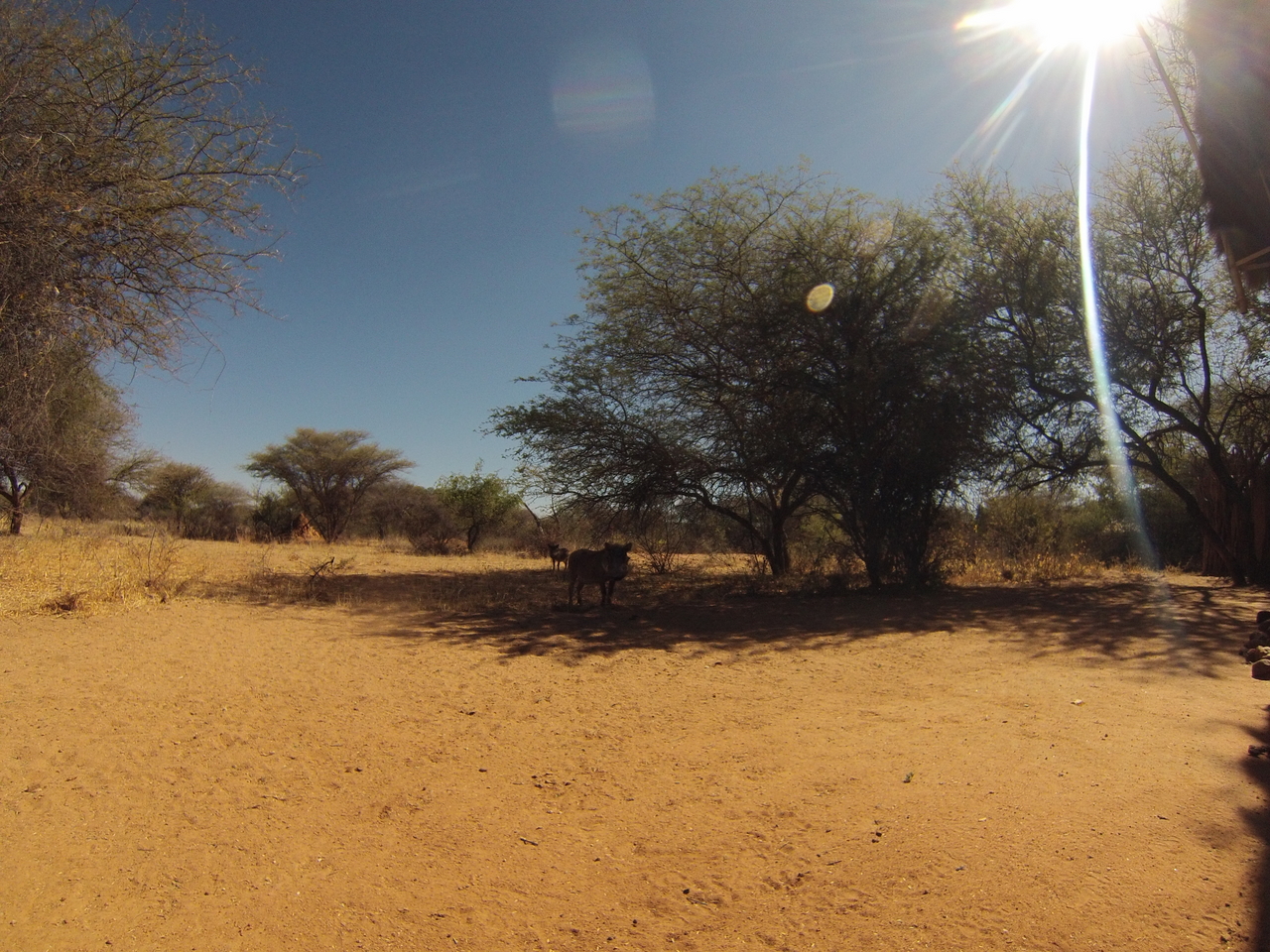 [8810] 2016_06_23_12_07_31_Africa_Hero3-Silver_Edition_IMG__00339.jpg