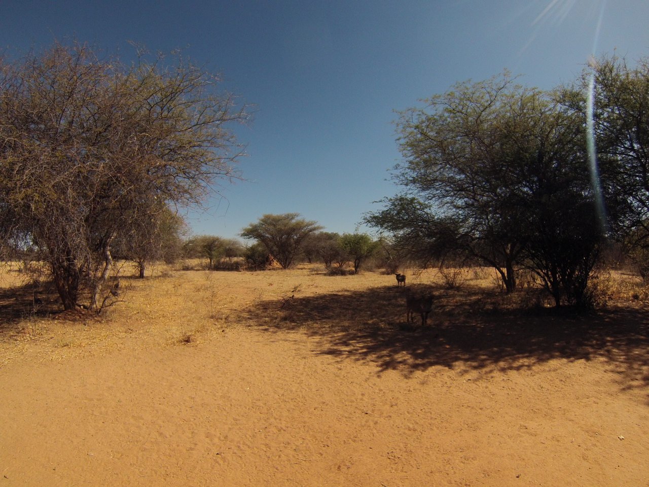 [8818] 2016_06_23_12_07_43_Africa_Hero3-Silver_Edition_IMG__00343.jpg