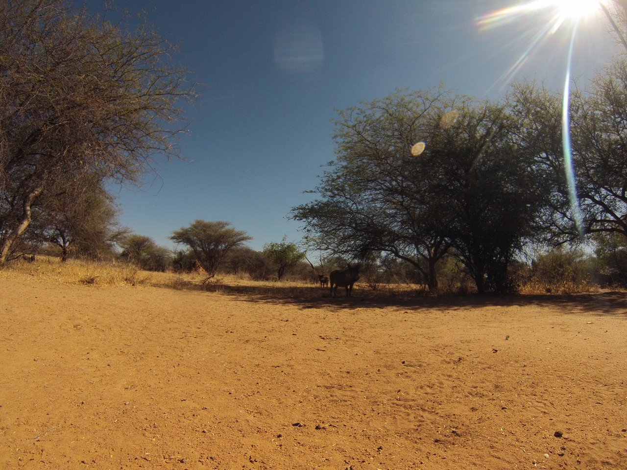 [8824] 2016_06_23_12_07_49_Africa_Hero3-Silver_Edition_IMG__00346.jpg