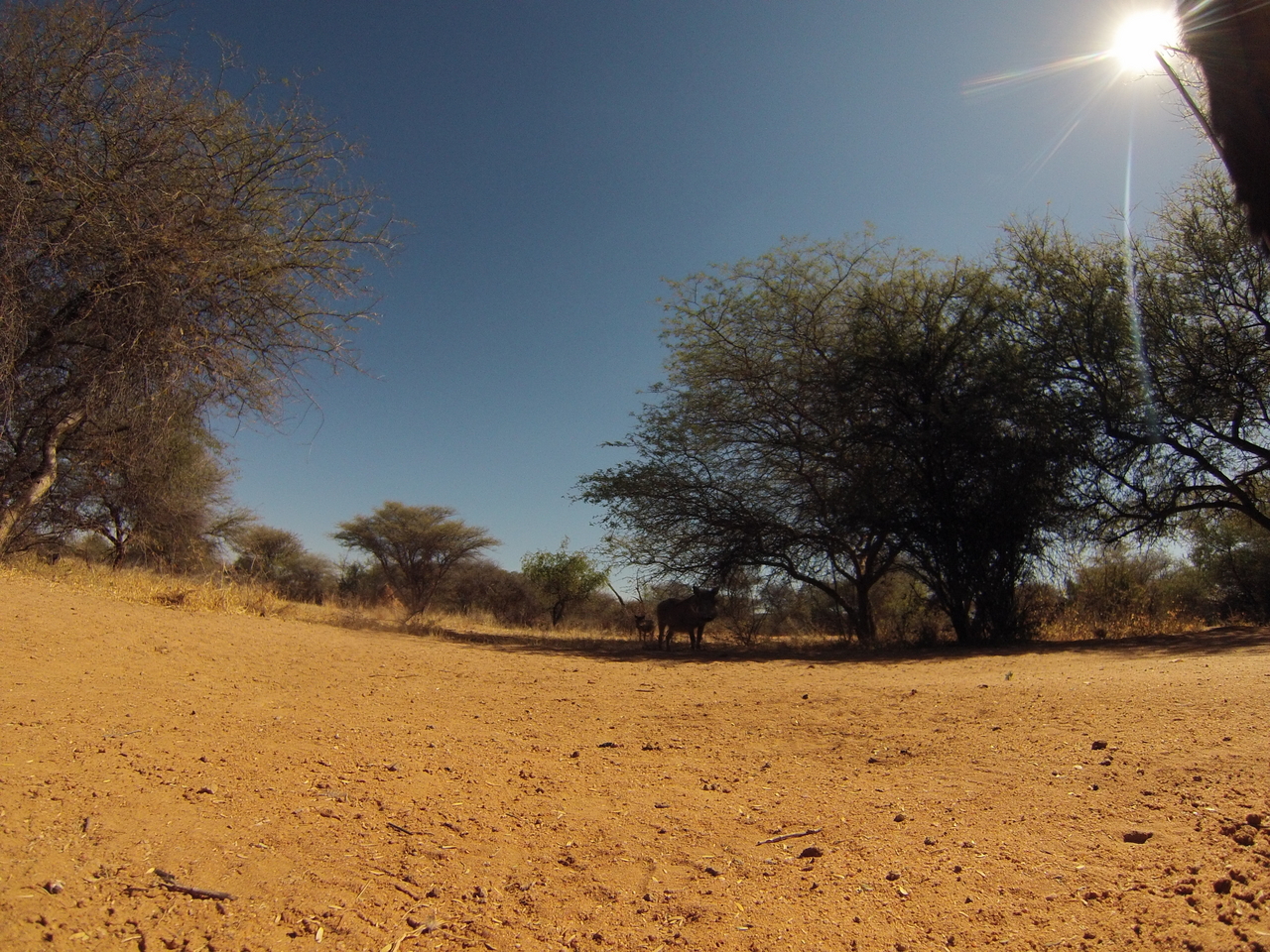 [8826] 2016_06_23_12_07_51_Africa_Hero3-Silver_Edition_IMG__00347.jpg