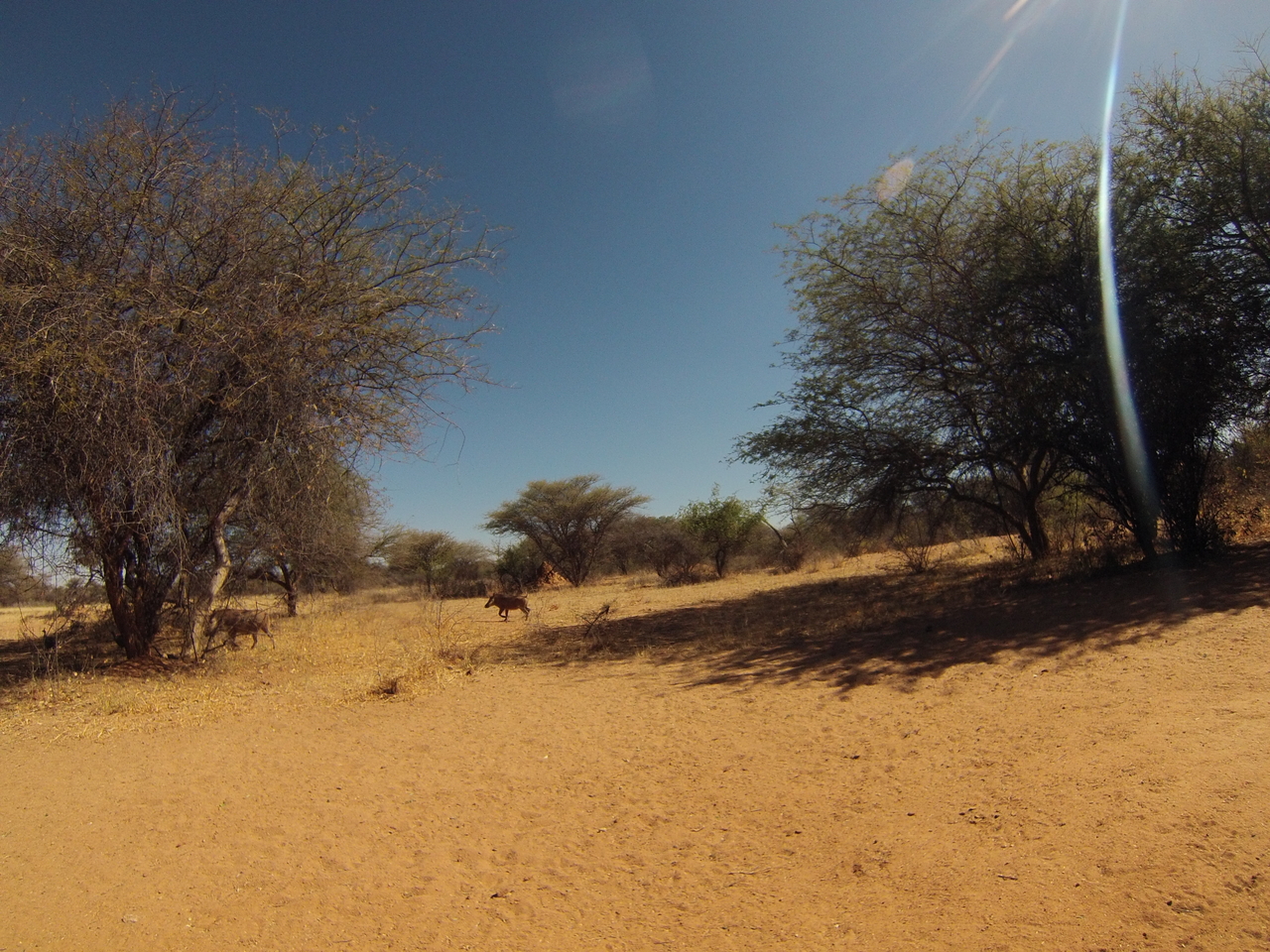 [8836] 2016_06_23_12_08_03_Africa_Hero3-Silver_Edition_IMG__00351.jpg