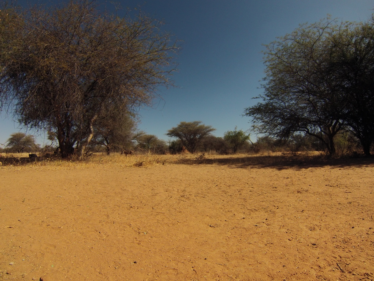 [8838] 2016_06_23_12_08_05_Africa_Hero3-Silver_Edition_IMG__00352.jpg