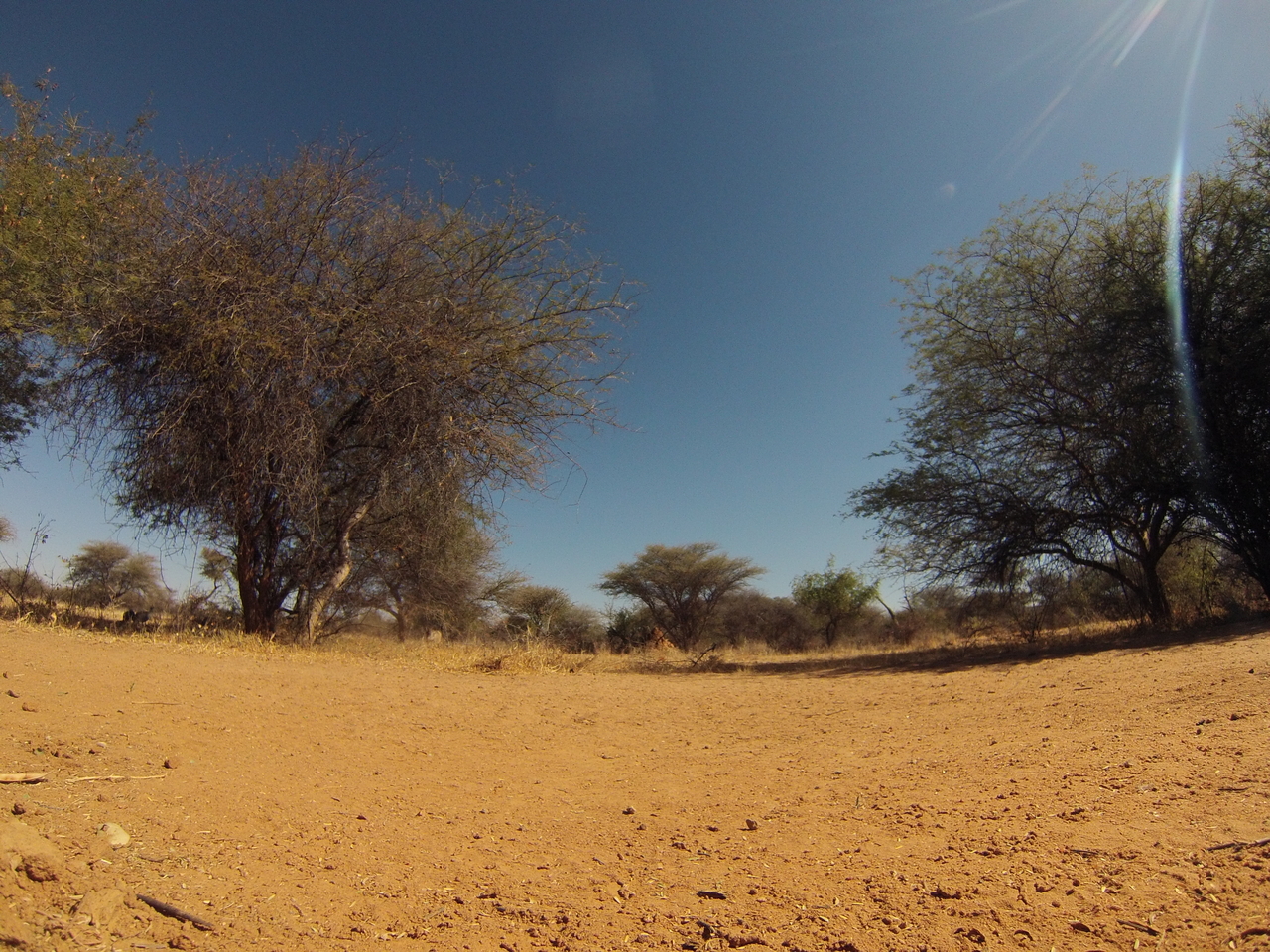 [8852] 2016_06_23_12_08_25_Africa_Hero3-Silver_Edition_IMG__00359.jpg