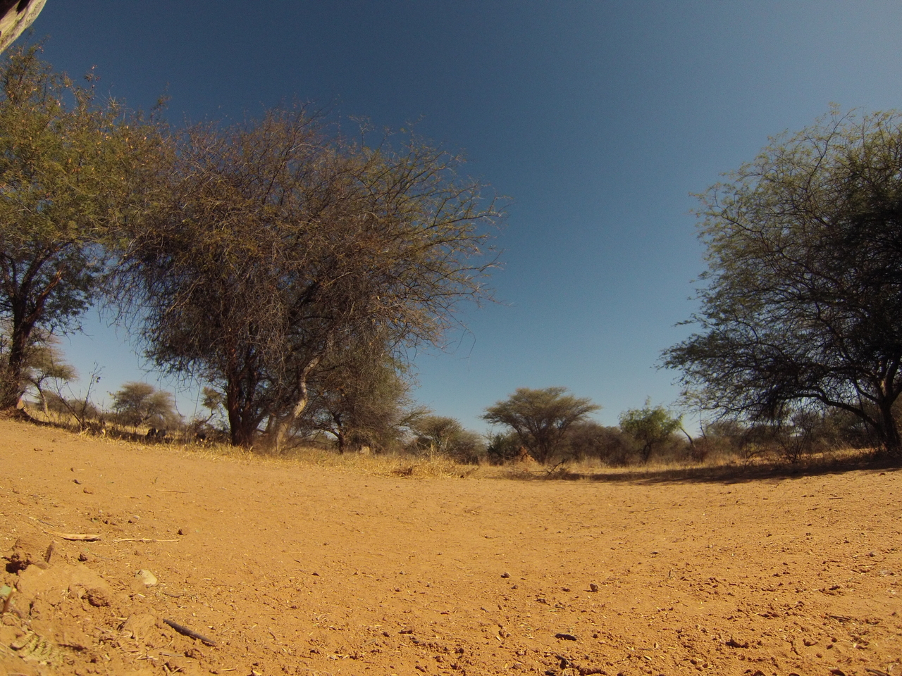 [8855] 2016_06_23_12_08_27_Africa_Hero3-Silver_Edition_IMG__00808.jpg