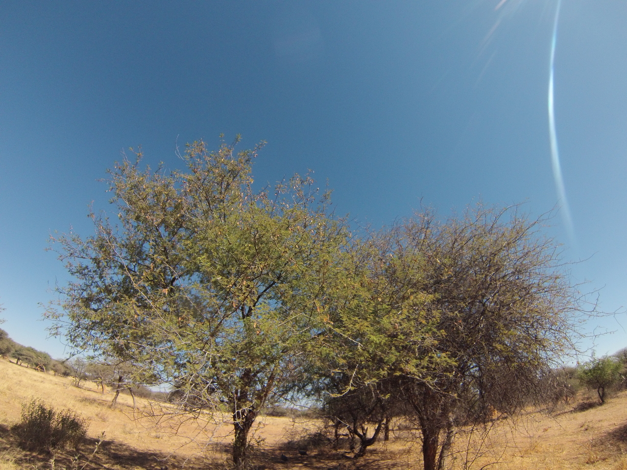 [8874] 2016_06_23_12_09_02_Africa_Hero3-Silver_Edition_IMG__00370.jpg