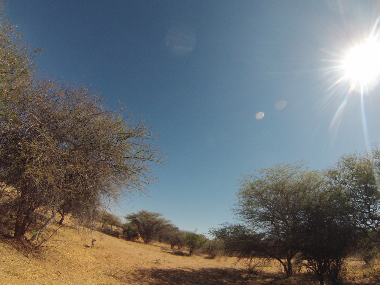 [8892] 2016_06_23_12_09_32_Africa_Hero3-Silver_Edition_IMG__00379.jpg