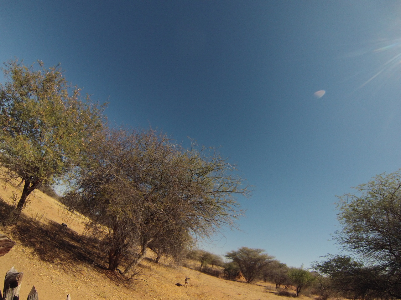 [8902] 2016_06_23_12_09_44_Africa_Hero3-Silver_Edition_IMG__00384.jpg