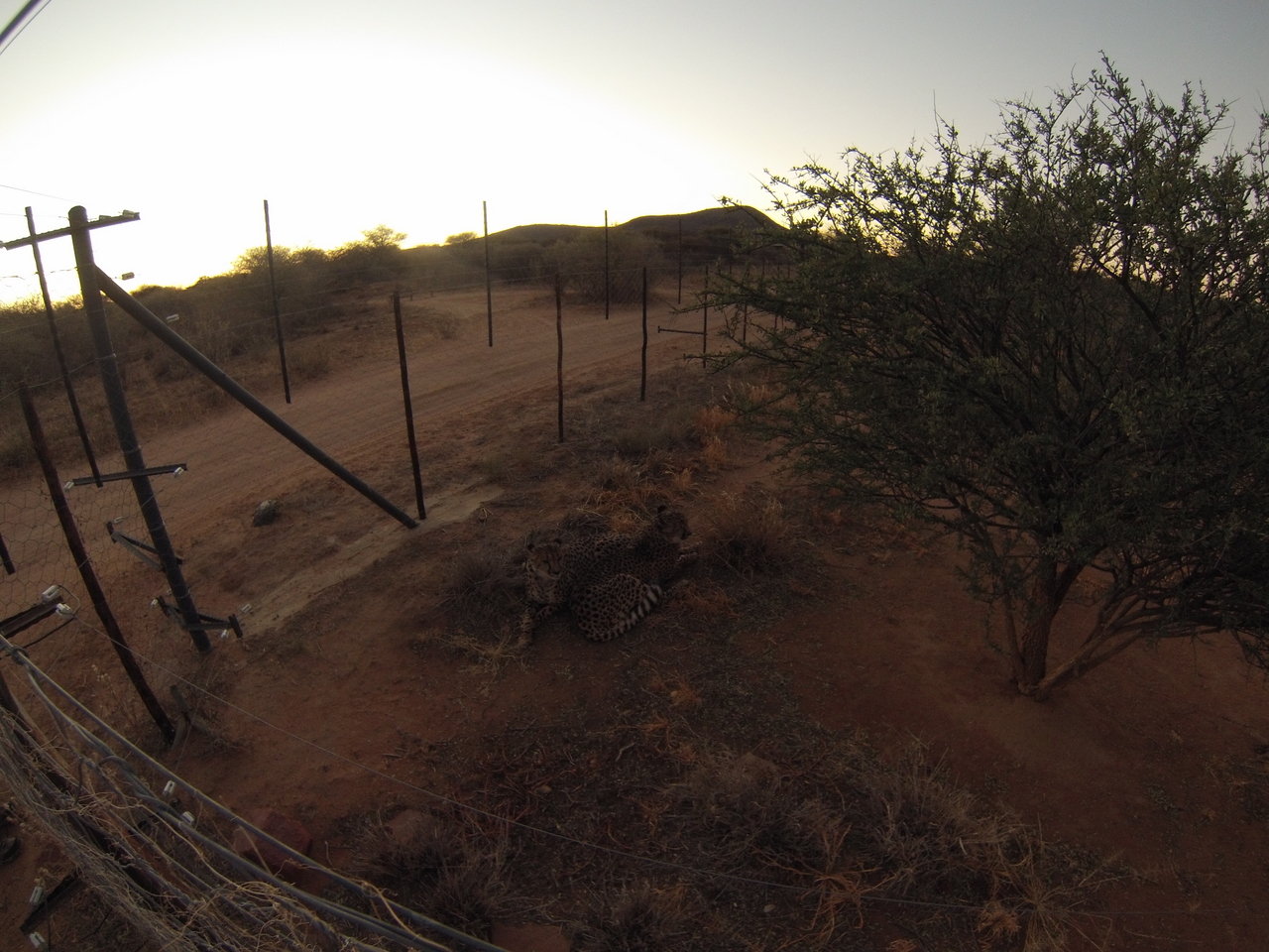 [9528] 2016_06_23_17_26_30_Africa_Hero3-Silver_Edition_IMG__00852.jpg