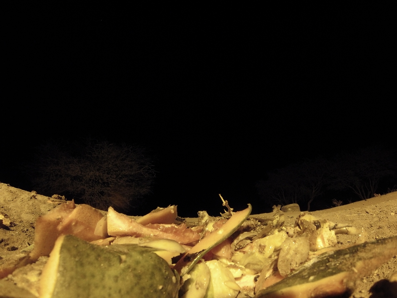 [9659] 2016_06_23_18_42_08_Africa_Hero3-Silver_Edition_IMG__00869.jpg