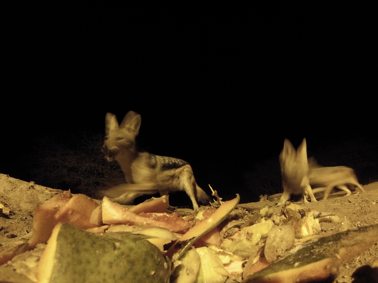 [9685] 2016_06_23_18_42_40_Africa_Hero3-Silver_Edition_IMG__00882.jpg