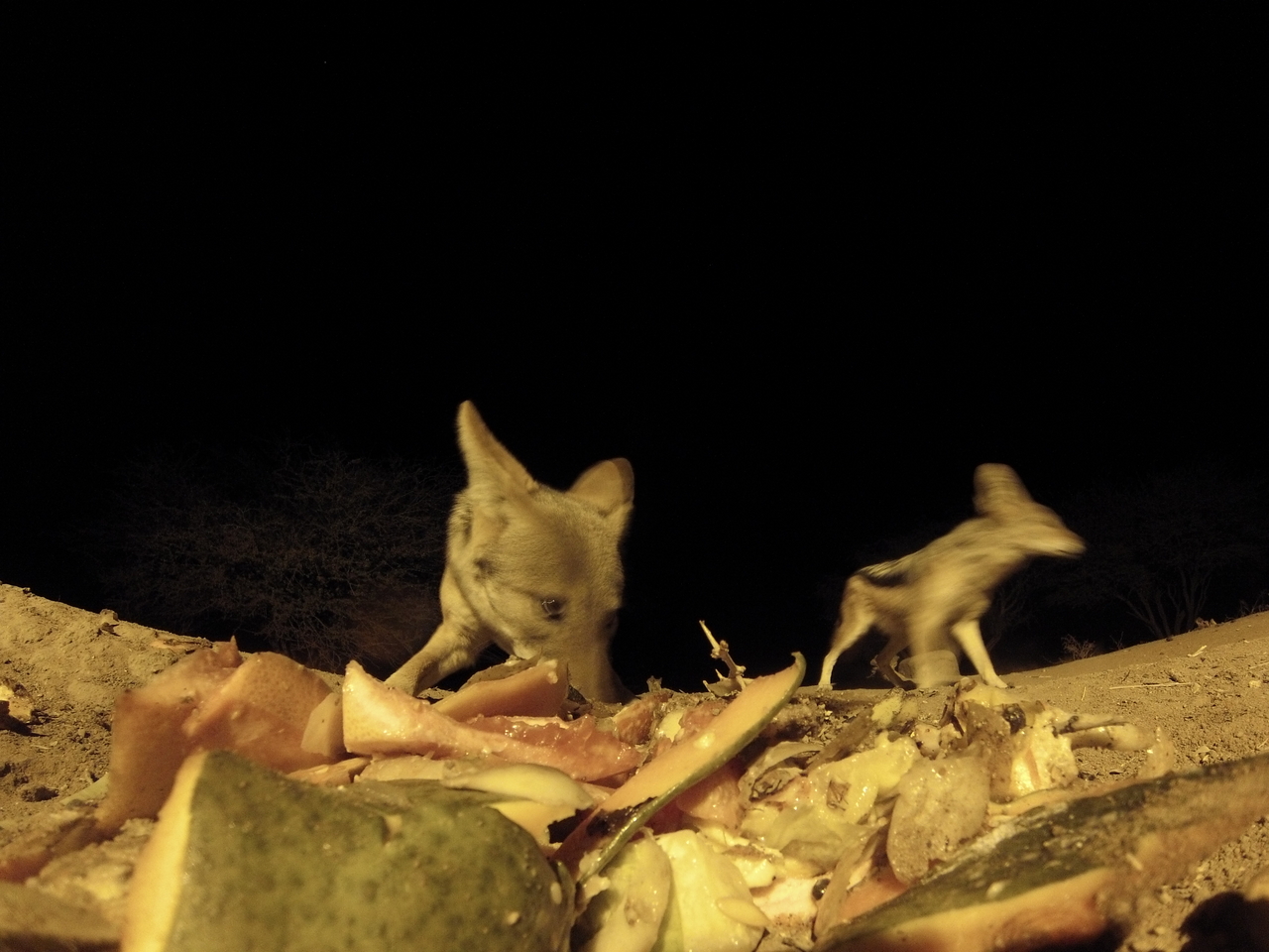 [9700] 2016_06_23_18_43_00_Africa_Hero3-Silver_Edition_IMG__00442.jpg