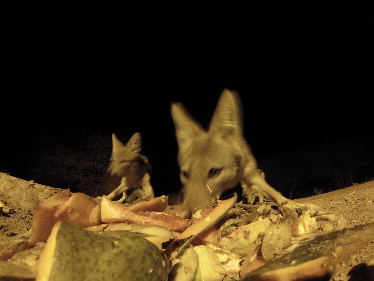 [9722] 2016_06_23_18_43_28_Africa_Hero3-Silver_Edition_IMG__00453.jpg