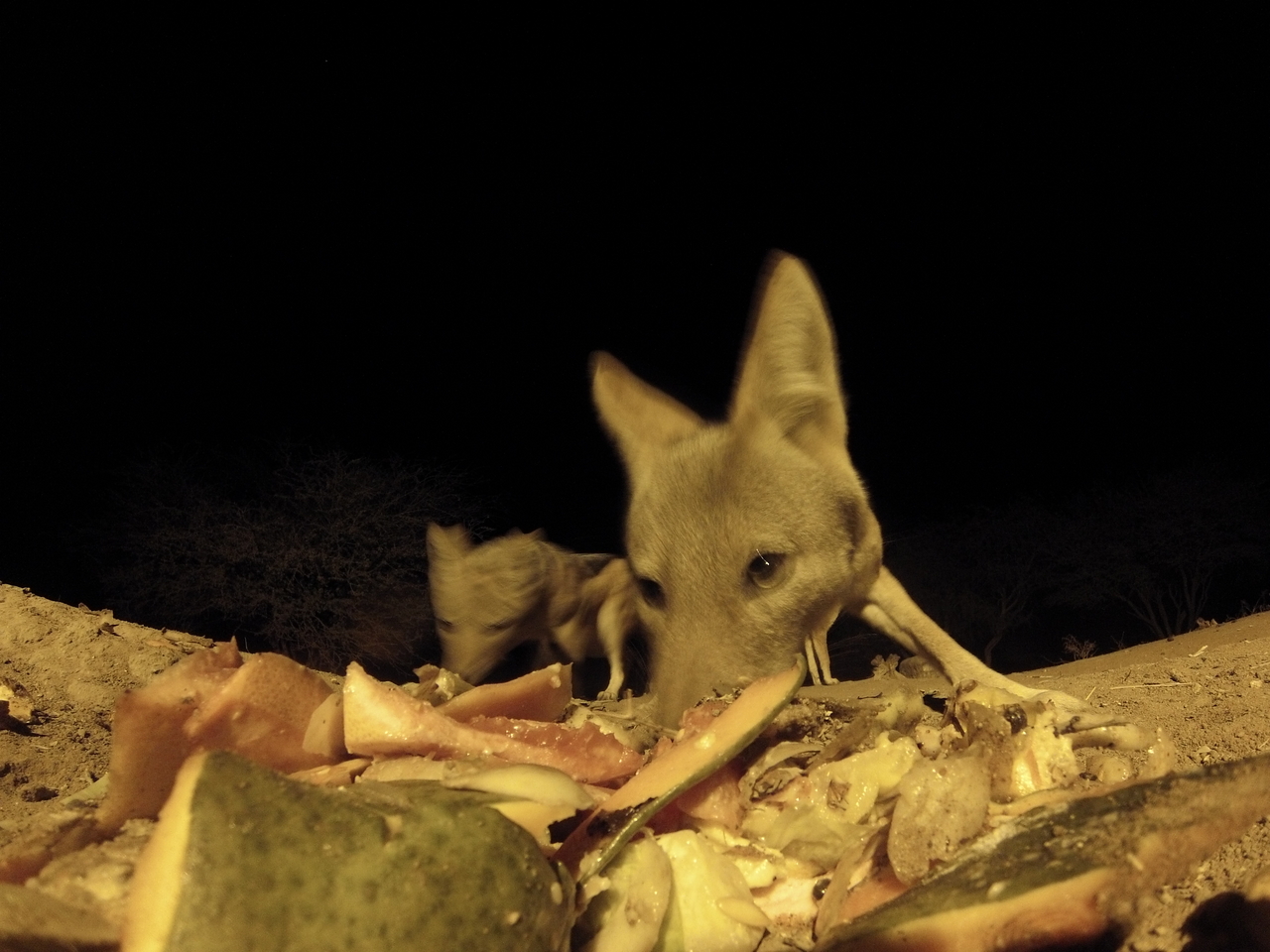 [9729] 2016_06_23_18_43_36_Africa_Hero3-Silver_Edition_IMG__00904.jpg