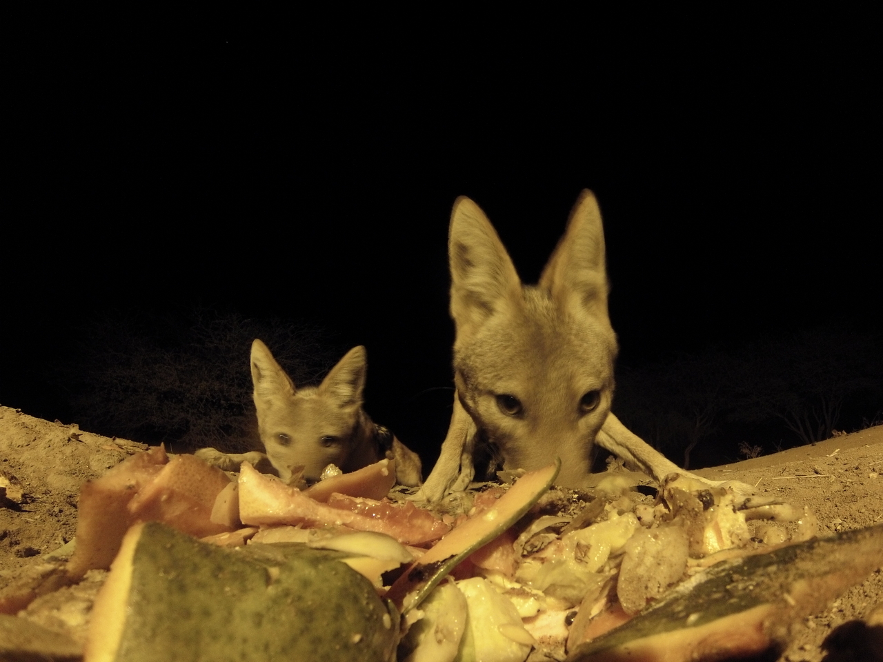 [9733] 2016_06_23_18_43_40_Africa_Hero3-Silver_Edition_IMG__00906.jpg