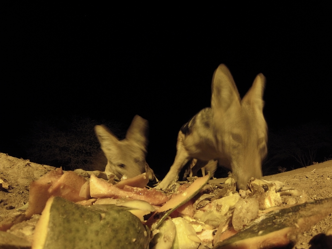 [9734] 2016_06_23_18_43_42_Africa_Hero3-Silver_Edition_IMG__00459.jpg