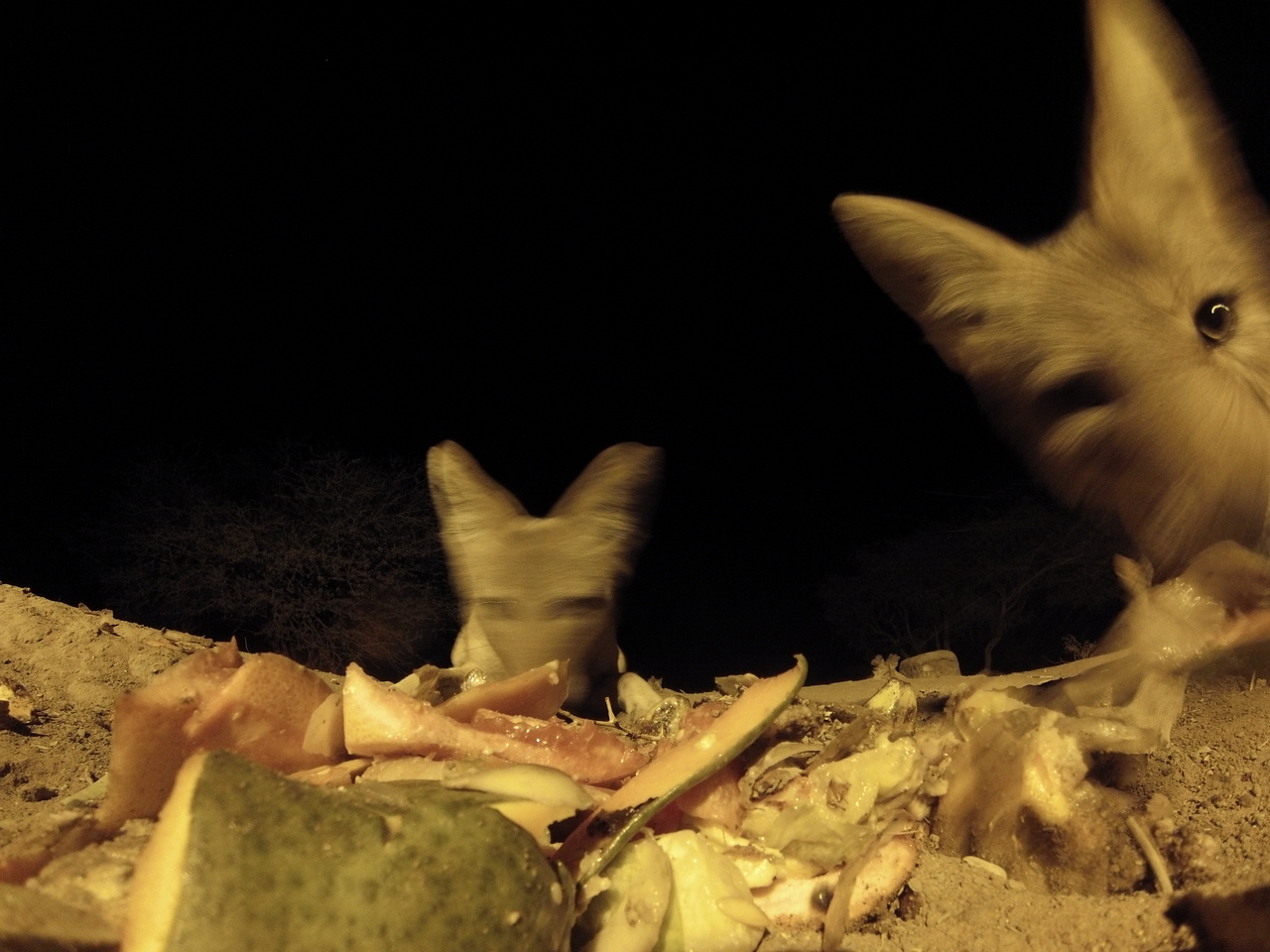 [9745] 2016_06_23_18_43_54_Africa_Hero3-Silver_Edition_IMG__00912.jpg