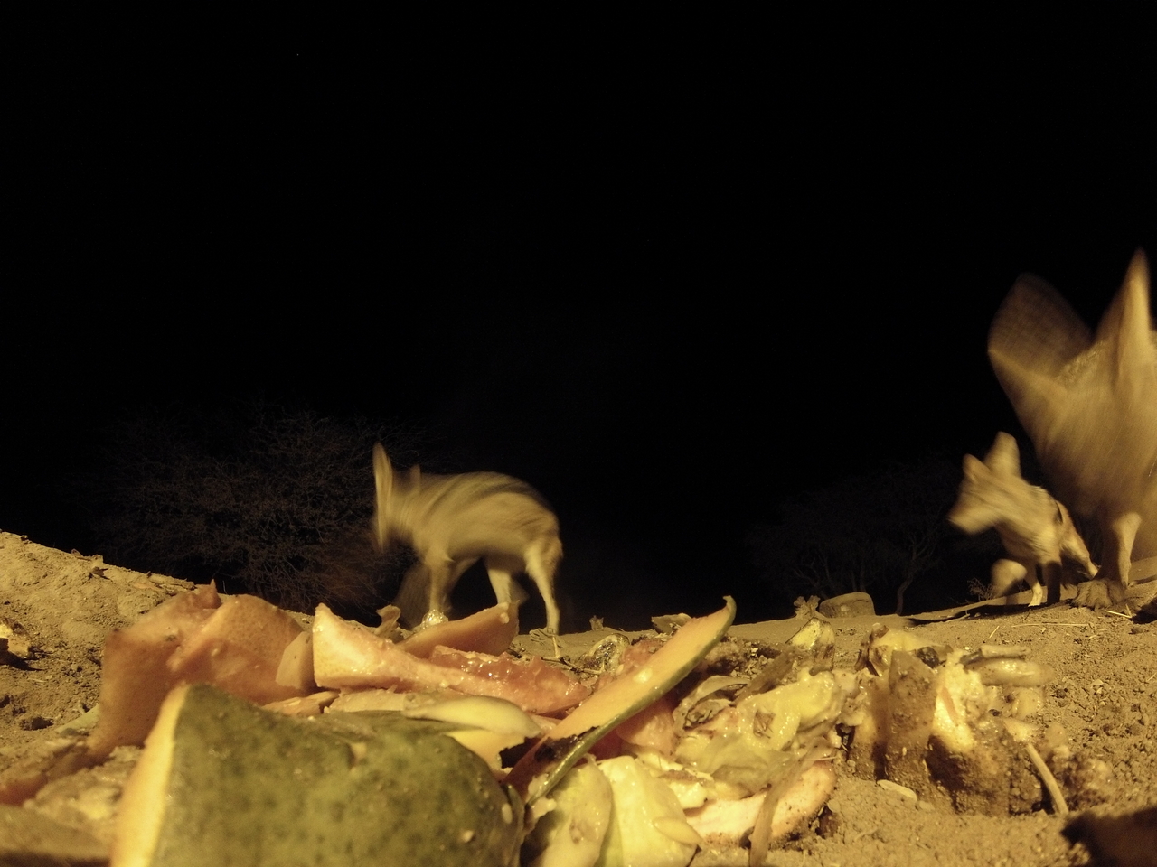 [9746] 2016_06_23_18_43_56_Africa_Hero3-Silver_Edition_IMG__00465.jpg