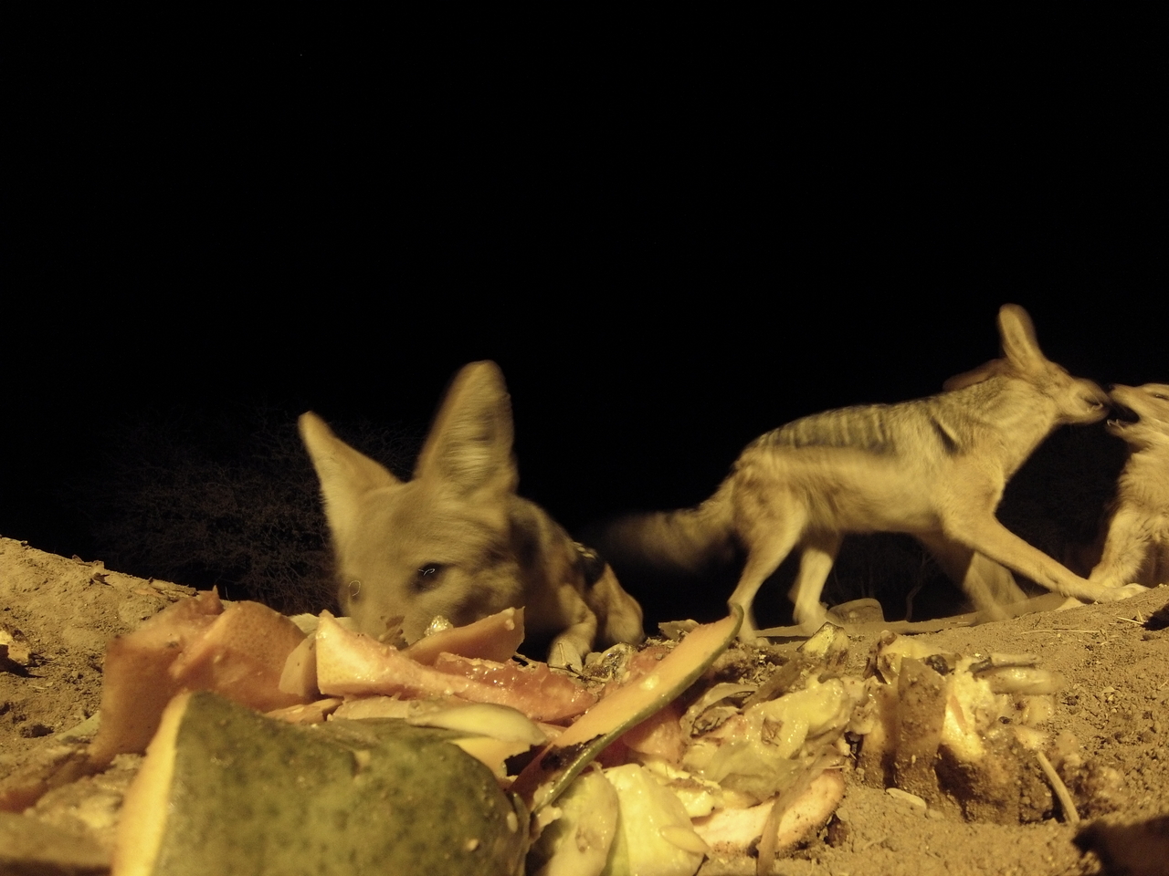 [9754] 2016_06_23_18_44_06_Africa_Hero3-Silver_Edition_IMG__00469.jpg