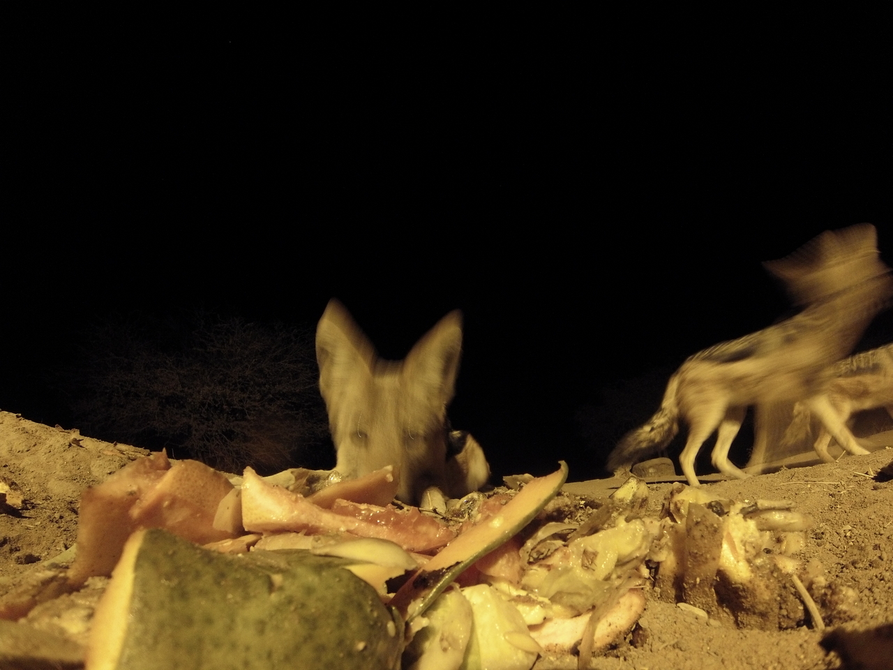 [9757] 2016_06_23_18_44_08_Africa_Hero3-Silver_Edition_IMG__00918.jpg