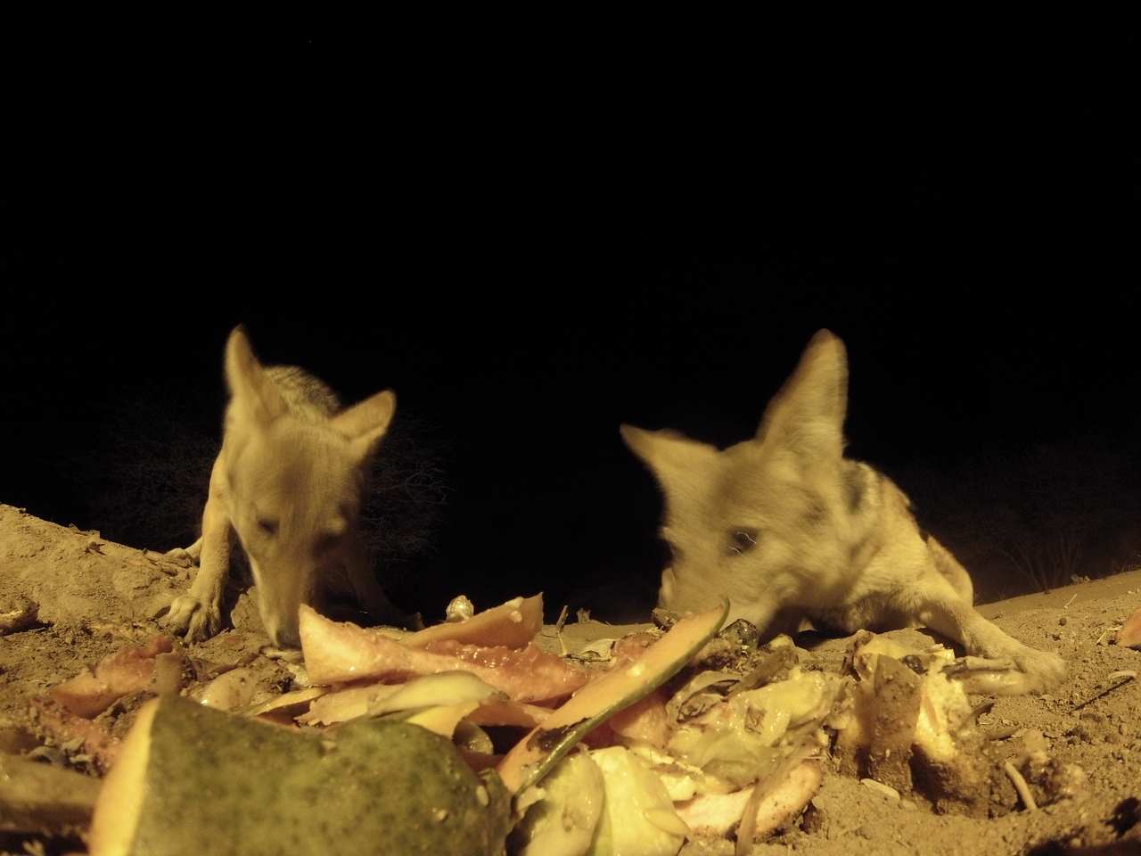 [9798] 2016_06_23_18_45_04_Africa_Hero3-Silver_Edition_IMG__00491.jpg