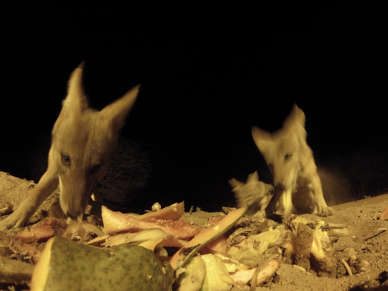 [9801] 2016_06_23_18_45_06_Africa_Hero3-Silver_Edition_IMG__00940.jpg