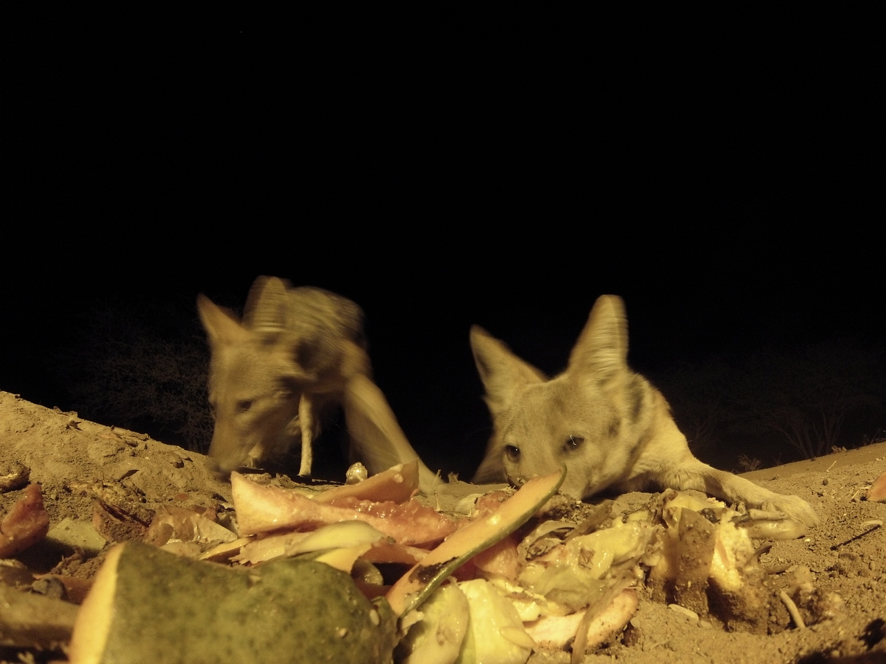 [9806] 2016_06_23_18_45_14_Africa_Hero3-Silver_Edition_IMG__00495.jpg