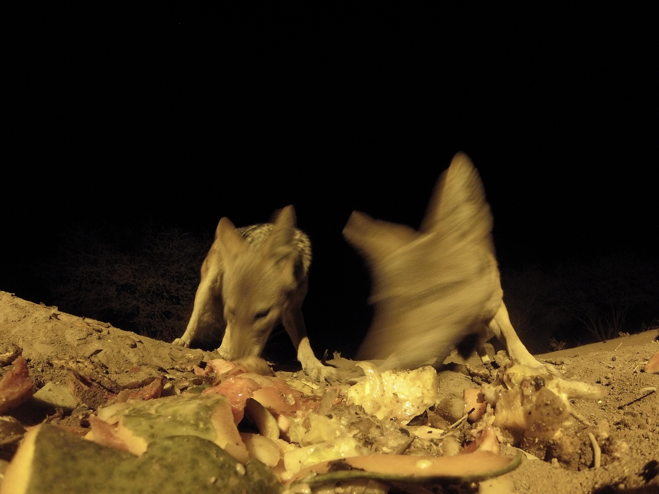 [9818] 2016_06_23_18_45_30_Africa_Hero3-Silver_Edition_IMG__00501.jpg