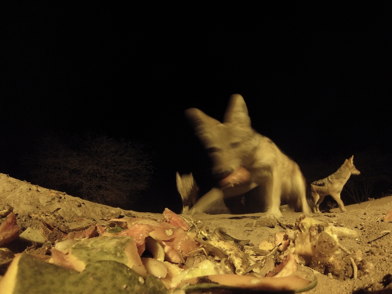 [9841] 2016_06_23_18_46_02_Africa_Hero3-Silver_Edition_IMG__00960.jpg