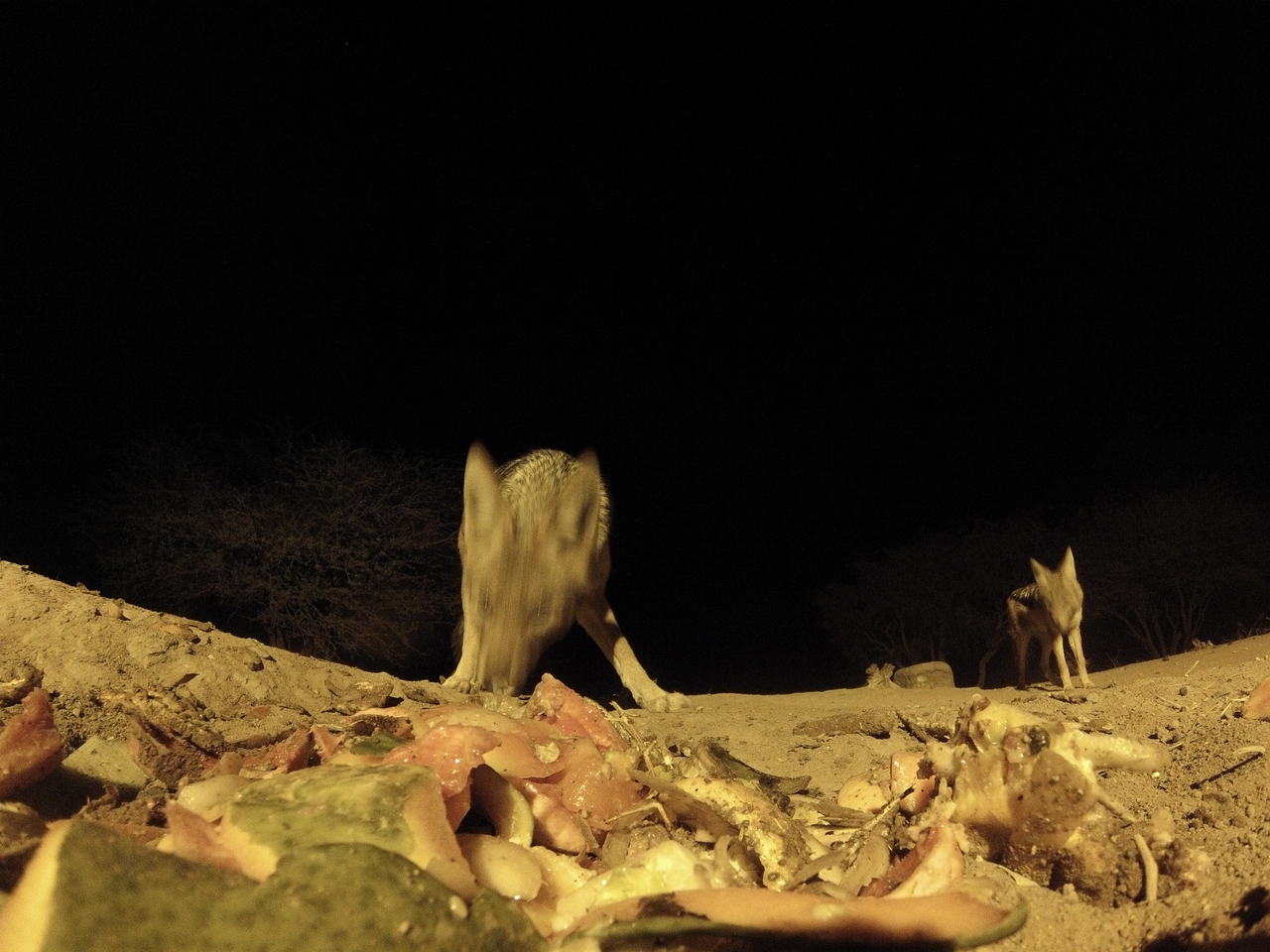 [9842] 2016_06_23_18_46_05_Africa_Hero3-Silver_Edition_IMG__00513.jpg