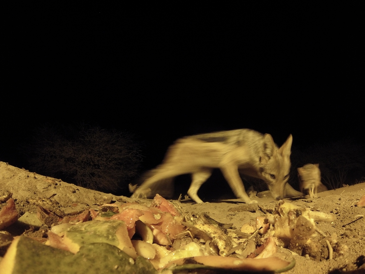 [9844] 2016_06_23_18_46_08_Africa_Hero3-Silver_Edition_IMG__00514.jpg