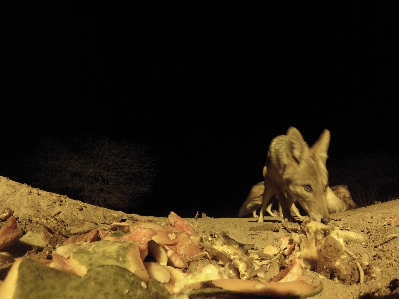 [9846] 2016_06_23_18_46_09_Africa_Hero3-Silver_Edition_IMG__00515.jpg