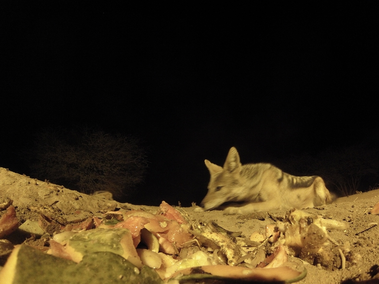 [9854] 2016_06_23_18_46_15_Africa_Hero3-Silver_Edition_IMG__00965.jpg