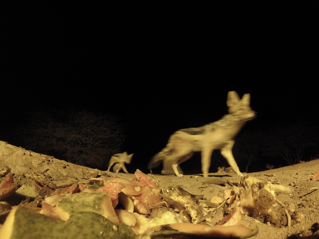 [9864] 2016_06_23_18_46_29_Africa_Hero3-Silver_Edition_IMG__00970.jpg