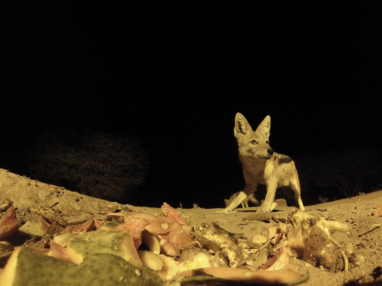 [9867] 2016_06_23_18_46_35_Africa_Hero3-Silver_Edition_IMG__00524.jpg