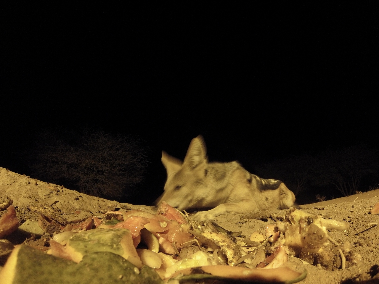 [9870] 2016_06_23_18_46_38_Africa_Hero3-Silver_Edition_IMG__00973.jpg