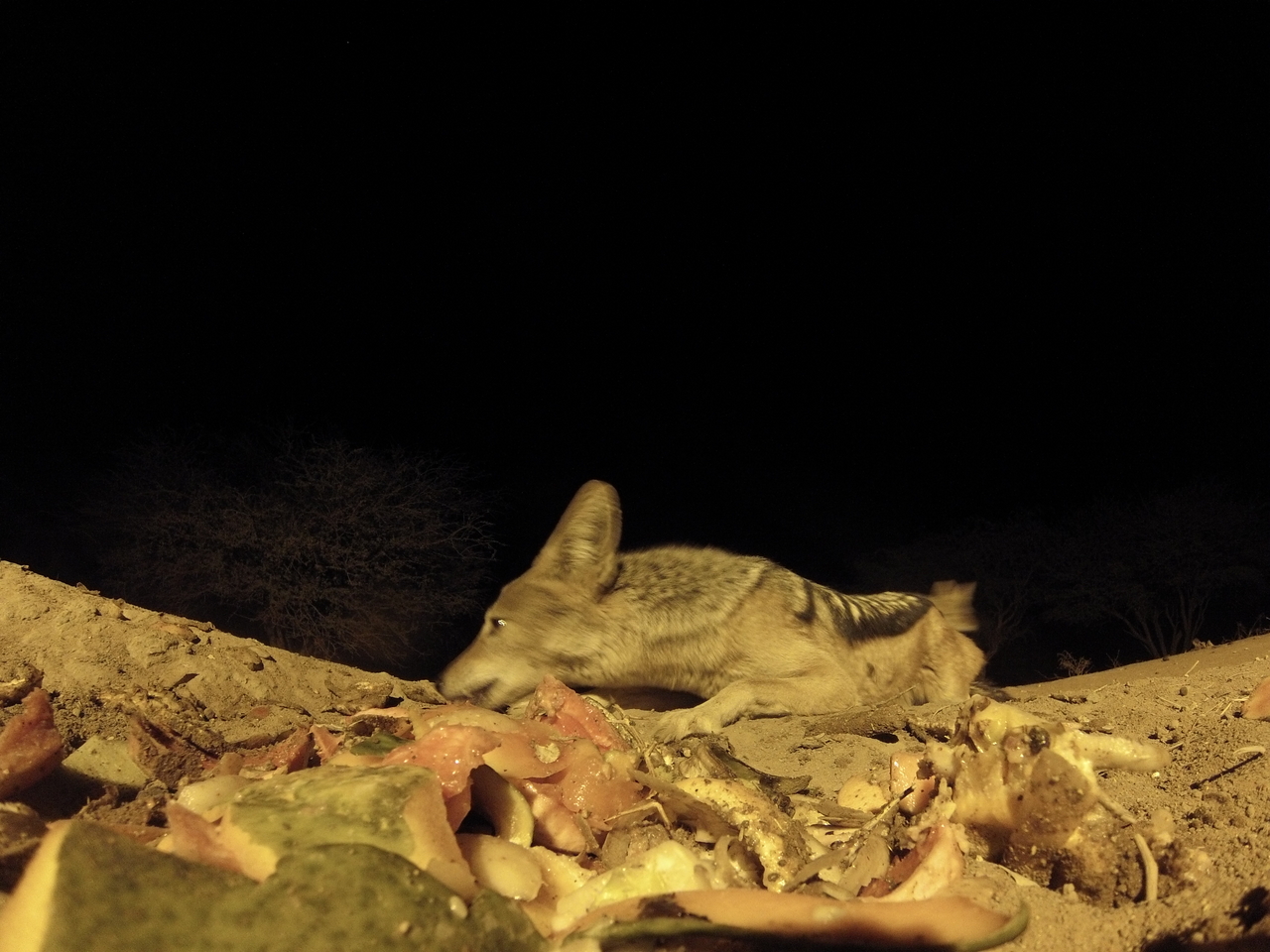 [9874] 2016_06_23_18_46_44_Africa_Hero3-Silver_Edition_IMG__00975.jpg