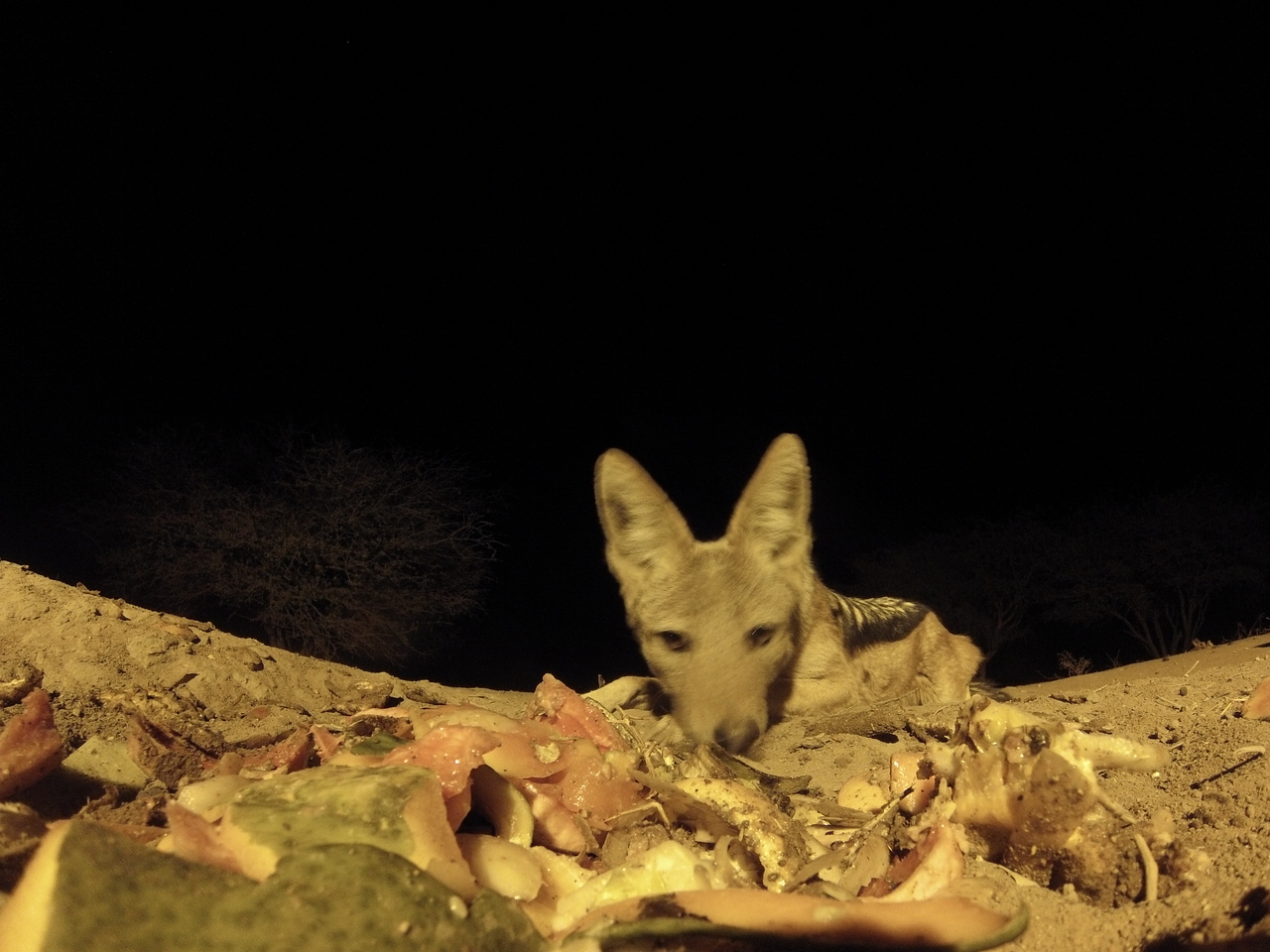 [9877] 2016_06_23_18_46_48_Africa_Hero3-Silver_Edition_IMG__00529.jpg