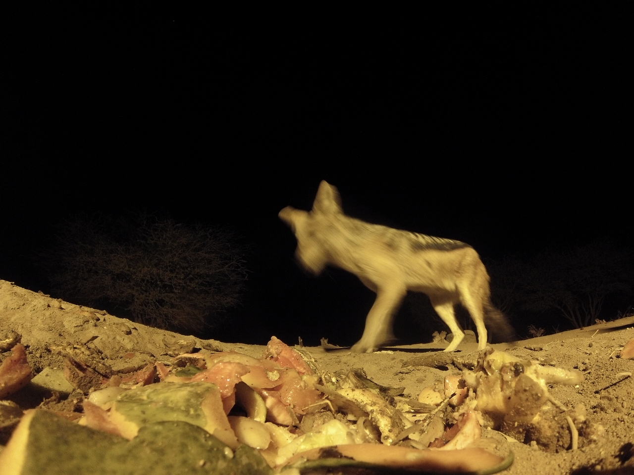 [9879] 2016_06_23_18_46_52_Africa_Hero3-Silver_Edition_IMG__00530.jpg