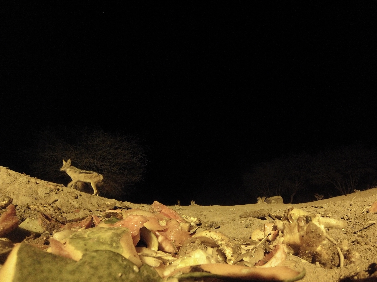 [9891] 2016_06_23_18_47_05_Africa_Hero3-Silver_Edition_IMG__00536.jpg