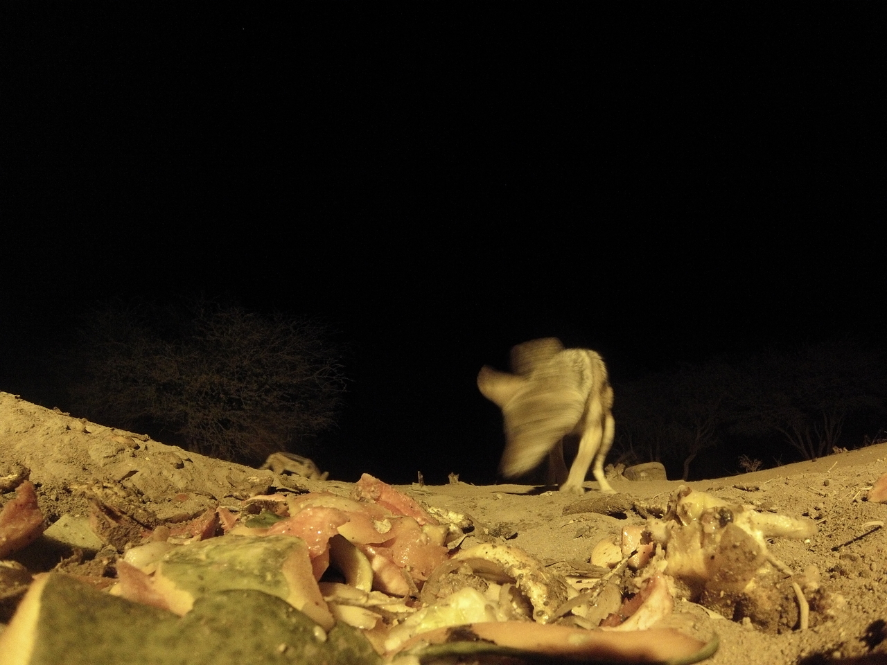 [9894] 2016_06_23_18_47_09_Africa_Hero3-Silver_Edition_IMG__00985.jpg