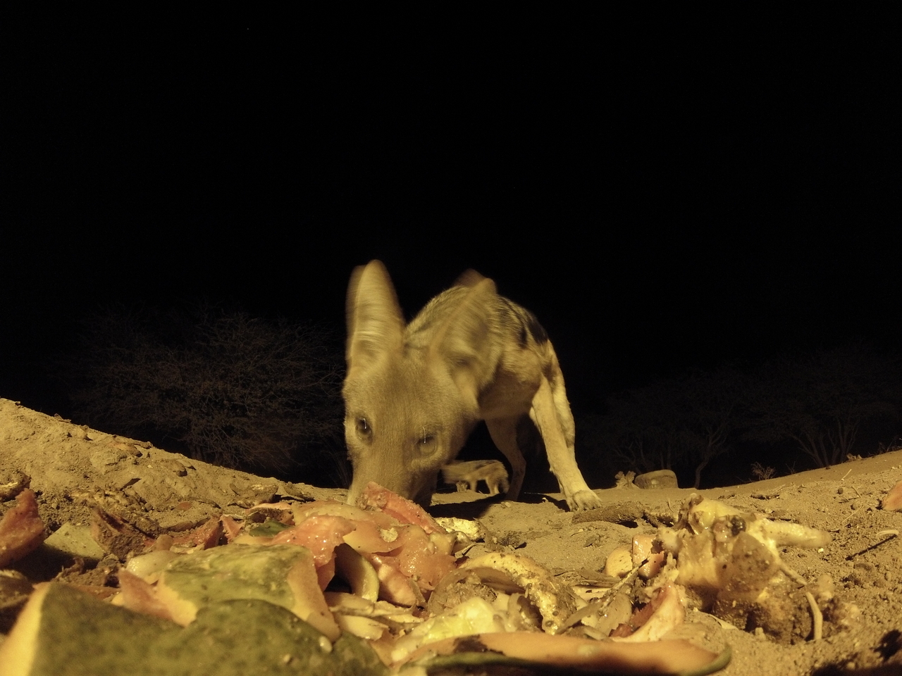 [9909] 2016_06_23_18_47_28_Africa_Hero3-Silver_Edition_IMG__00991.jpg