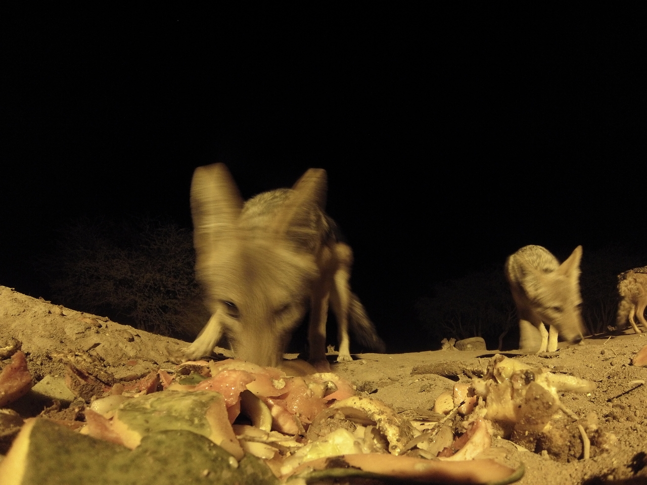 [9913] 2016_06_23_18_47_36_Africa_Hero3-Silver_Edition_IMG__00993.jpg