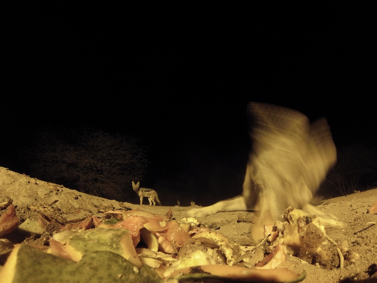 [9920] 2016_06_23_18_47_46_Africa_Hero3-Silver_Edition_IMG__00549.jpg