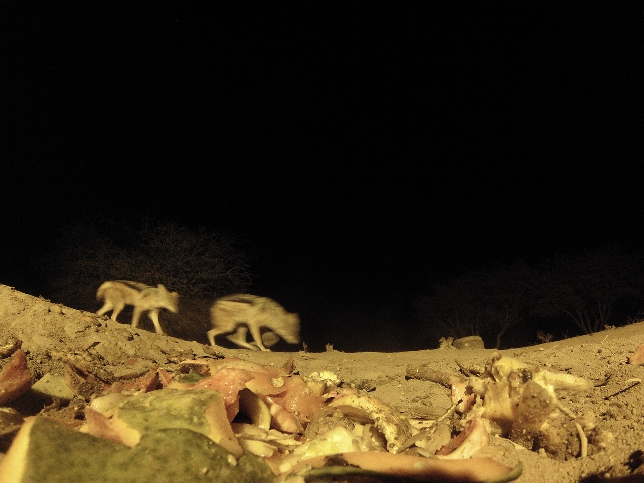 [9924] 2016_06_23_18_47_51_Africa_Hero3-Silver_Edition_IMG__00551.jpg