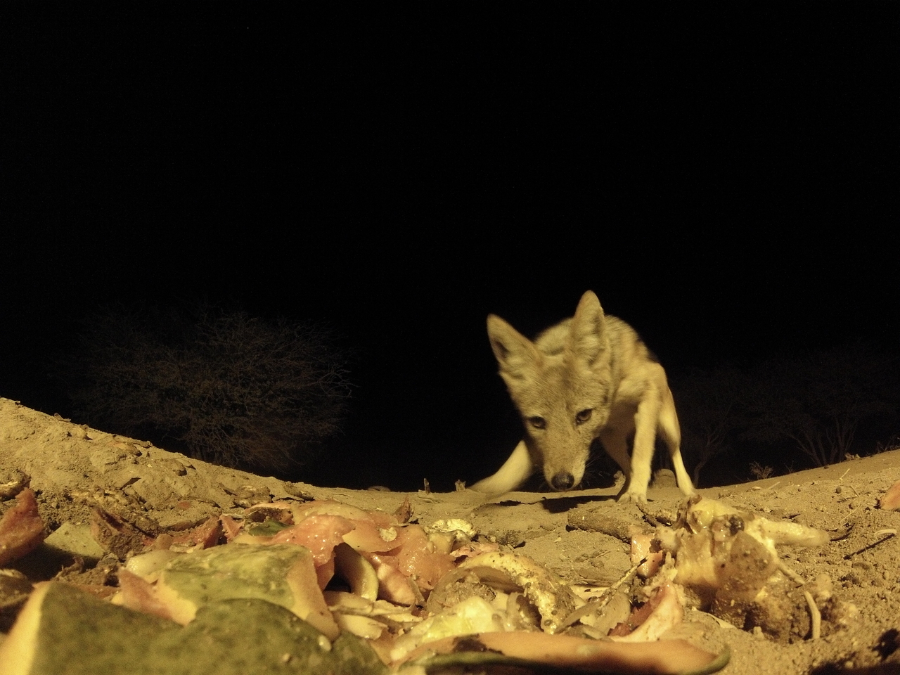 [9928] 2016_06_23_18_47_57_Africa_Hero3-Silver_Edition_IMG__00553.jpg